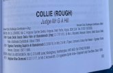 Collielife - Rough and Smooth Collies · 2019. 9. 14. · 4209 Ingledene Well Sooted D 7/4/16, br Exh, Ch Beldones Black Illusion—Ch Ingledene All Dressd In Blue Jw. Class 1583.