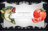 AQUAPONICS - sreeharni.files.wordpress.com · Feeding the fish is important. We can use fish pellets to feed. To cut down chores viable alternatives such as organic fish food like