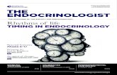 THE MAGAZINE OF THE SOCIETY FOR ......Starling House 1600 Bristol Parkway North Bristol BS34 8YU, UK Tel: 01454 642200 Email: members@endocrinology.org Web: Company Limited by Guarantee