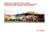 BRIGE GENDER AND RESILIENCE ASSESSMENT PROCESS AND … · 2019. 12. 30. · MERCY CORPS BRIGE Gender and Resilience Assessment Toolkit 4 Overview: About the Gender and Resilience