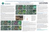 Using Geospatial Technology to Map Invasive Plants at Flanders …nrca.uconn.edu/students/documents/posters2015/JuliaS... · 2016. 12. 8. · RESULTS • ArcGIS maps depict the various