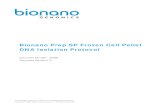 Bionano Prep SP Frozen Cell Pellet DNA Isolation Protocol · 2020. 8. 7. · 30268 Rev D, Bionano Prep SP Frozen Cell Pellet DNA Isolation Protocol Page 7 of 19 . Introduction and