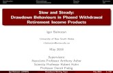 Slow and Steady: Drawdown Behaviours in Phased ...Introduction Methodology Results Summary Slow and Steady: Drawdown Behaviours in Phased Withdrawal Retirement Income Products Igor