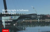 Working Agile in Software Development · Product backlog: Feature list for the whole project; the highest-priority stories reside at the top of the backlog and are in the lowest level