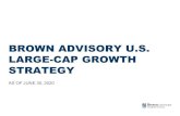 BROWN ADVISORY U.S. LARGE-CAP GROWTH STRATEGY · 2020. 7. 22. · Consumer Staples. Consumer Disc. Comm. Services. Source: FactSet. Portfolio information is based on a representative