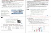 Global fighting against infectious diseasesminato.sip21c.org/IHR-and-flu2009pdm.pdf · 2017. 2. 7. · 1 Global fighting against infectious diseases Minato Nakazawa, Ph.D. Professor,