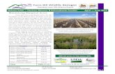Farm ill Wildlife iologist - Loess Hills Allianceloesshillsalliance.weebly.com/uploads/4/5/6/3/... · P28—Farmable Wetland uffer 406.75 P38—SAFE Pheasant Recovery 251.01 P38—SAFE