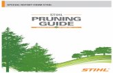 STIHL Pruning Guide - Austin Outdoor Powertree’s crown, the point where the roots join the trunk. They deprive trees of water and nutrients and should be removed. They seldom bear