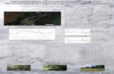 GROUNDWATER DEPENDENT FOREST AND WET MEADOW … · 2020. 4. 29. · GROUNDWATER DEPENDENT FOREST AND WET MEADOW CHARACTERISTICS IN A CHANGING CLIMATE Csenge Nevezi1, Tamás Bazsó1,