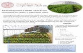 Aphid Management in Winter Tunnel Greens · Aphid Management in Winter Tunnel Greens Lessons learned over 4 seasons of on-farm applied research Growing greens in high tunnels (minimally