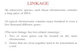 LINKAGE · 2020. 4. 15. · • Linkage without crossing over creates only parental (non crossover) gametes. •Chromosomes are called linkage groups –They contain a group of genes