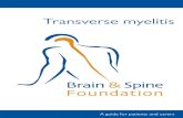 Transverse myelitis · Transverse myelitis often develops at the same time as, or soon after, a viral or bacterial infection. These cases are also believed to be the result of an