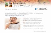 NOVEMBER 2014 Natural Gas Matters€¦ · are observed for proper height, color and alignment of burning. 4 CHECK GAS INPUT – Proper pressure is required to control fuel input to