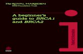 A beginner’sguide to BRCA1 and BRCA2 · 4 Women who have a BRCA1 gene mutation have a 60-90% lifetime risk and women who have a BRCA2 gene mutation have a 45–85% lifetime risk.