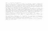 Иииpeg-shumen.org/PEG_MS_Certificates.docx  · Web view2019. 4. 8. · Отлично представяне на Таня Иринкова от 11а (963 т. от 1000 т. )