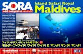 M Island Safari Royalaldivestsumishima.com/soraweb/2016/04/28/71_201604_Maldives.pdf2016/04/28  · S urprise驚き Maldives Island Safari Royal アイランドサファリロイヤル・モルディブ