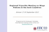 Regional Tripartite Meeting on Wage Policies in the Arab Countries · 2014. 6. 9. · bonuses and set a minimum wage for foreign domestic workers. Discussions going on for setting