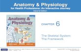 Anatomy & Physiologywickscience.weebly.com/uploads/1/1/9/1/119136830/chapter_6_edited.pdfAnatomy & Physiology for Health Professions: An Interactive Journey, Second Edition Colbert
