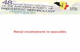 Renal involvement in vasculitis - IPNA Onlineipna-online.org/Media/Junior Classes/2015 - 2nd... · Renal involvement in vasculitis Stephen Marks Consultant Paediatric Nephrologist