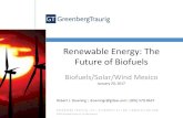 Renewable Energy: The Future of Biofuels...Renewable Energy: The Future of Biofuels Biofuels/Solar/Wind Mexico January 20, 2017 Robert J. Downing | downingr@gtlaw.com| (305) 579-0637