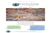 Tiger Safari: India · PDF file Our safari takes places in both Kanha & Bandhavgarh National Parks – both locations having growing tiger populations that are the densest on earth.