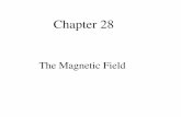 The Magnetic Field - Austin Community College District - Magnetic... · 2012. 10. 3. · MFMcGraw-PHY 2426 Ch28a-Magnetic Field - Revised 10/03/2012 19 Magnetic Force on Current Carrying