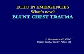 ECHO IN EMERGENCIES What’s new? BLUNT CHEST TRAUMAassets.escardio.org/Assets/Presentations/OTHER2010/EAE-echo-em… · •Cardiac injury: Majority of deaths in violent injuries