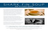Animal Welfare Institute Shark Fin Soup · 2020. 7. 1. · methylmercury content in the flesh of the animal is concentrated. Fish near the top of the food chain, such as sharks and