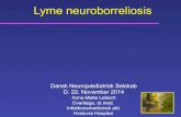 Lyme neuroborreliosis - Bimasdnps.dk/wp-content/uploads/2017/03/DNPS-rsmde-2014...Lyme neuroborreliosis ! Active neuroborreliosis responds to antibiotic therapy ! The principle drugs