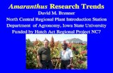 Amaranthus Research Trends - Amaranth InstituteAmaranthus caudatus from India 113 accessions • PI 481125 was originally misclassified as A. caudatus in the USDA Germplasm Resources
