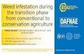 Weed infestation during the transition phase from …...weed management Despite conservation agriculture and, overall, the reduction of soil disturbance are considered soil improving