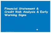 Financial Statement & Credit Risk Analysis & Early Warning ... · © Barry M Frohlinger 1981 -2012 Financial Statement & Credit Risk Analysis & Early Warning Signs