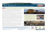 SIGN UP The Bulletin - NZ Transport Agency · 2017. 9. 15. · Peter Reidy, Chief Executive of KiwiRail. This weekly bulletin provides the latest information about the rebuild of