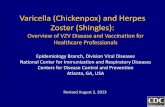 New Varicella (Chickenpox) and Herpes Zoster (Shingles) 2013. 8. 2.آ  Varicella (Chickenpox) and Herpes
