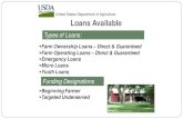 Funding Designations Loans Available Types of Loans: Farm Ownership Loans â€“ Direct & Guaranteed Farm