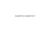 HABITO-HABITAT · HABITO-HABITAT. PO : MARIET: living our of what is past, - no longer 100k for obý.cts but for senses ot ng, surroundings. So . Wisa Wooden Design Hotel v . Glow