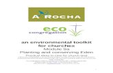 A Rocha Eco-Congregation (USA) Module 9 · Web viewIt means cacti, Agaves and other succulents, and ALSO means plenty of flowers, plenty of beauty, many hummingbirds and no watering
