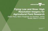 Flying Low and Slow: High Resolution Imagery for ...conf2017.uas4rs.org.au/wp-content/uploads/Session4-Eileen-Perry.pdf · Background Why not satellite imagery? • Resolution, timing,