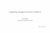 Targeting oncogenic drivers in NSCLC · 2016. 10. 28. · De Grève, Lung Cancer 2012 • 46 pts with HER2 mutations identified, predominantly women and never smokers. 20 pts with