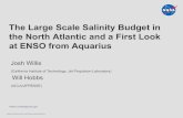The Large Scale Salinity Budget in the North Atlantic and ... · 2012) Net ocean transports -0.06 ± 0.06 Runoff 0.041 (± 0.02 ?) (Dai et al, 2009 ... is the challenge! National