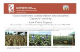 “Socio-economic consideration and biosafety: Capacity building” …ris.org.in/images/RIS_images/pdf/IFPRI.pdf · 2018. 1. 12. · Presentation made at the CBD Secretariat Workshop