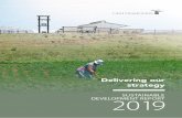 Delivering our strategy · 2020. 3. 11. · Delivering our strategy SUSTAINABLE DEVELOPMENT REPORT2019. 1 ... flexible in its approach that the business drives sustainable results,