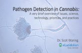Pathogen Detection in Cannabis - University of Vermont · 2020. 2. 20. · marijuana and chronic pulmonary aspergillosis. Mediterranean Journal of Hematology and Infectious Diseases.