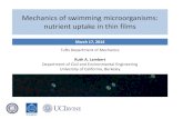 Mechanics of swimming microorganisms: nutrient uptake in ...efmh.berkeley.edu/lambert/Lambert_EMFC9.pdfStudy: Suspension of model swimmers in a thin film Velocity profiles and swimmer