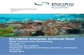 Ex-HMAS Adelaide Artificial Reef · 2019. 7. 3. · Ex-HMAS Adelaide Artificial Reef – Reef Community Monitoring Prepared for Department of Primary Industries – Catchments and