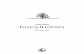 City of Bellevue Pruning Guidelines · 2019. 5. 8. · page 4 Table 1. Pruning Goal/Method Matrix GOAL Pruning Techniques Structural Crown Cleaning Crown Thinning Crown Raising Crown
