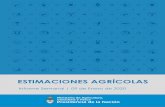New ESTIMACIONES AGRÍCOLAS - Argentina.gob.ar · 2020. 1. 14. · 2 ESTIMACIONES AGRÍCOLAS Informe Semanal 09 de Enero de 2020 INFORME SEMANAL al 09 de Enero 2020 Panorama Agroclimático