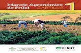 MANEJO AGRONÓMICO DE FRÍJOL - CARTILLA 1 · 2019. 5. 15. · 6 Maneo Aronómico de Fríol 4. Distancia de siembra 5. Control de malezas Surcos (60 cm)Plantas (7 cm)El cultivo debe