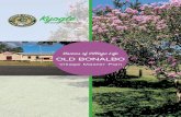 Kyogle · 2018. 5. 30. · Vision s of Village Life OLD BONALBO Village Master Plan 3 ABOUT THIS PLAN The Old Bonalbo Village Master Plan was created in consultation with the local