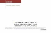 [PUBLIC SPHERE 2: GOVERNMENT BRIEFING PAPER ...pipka.org/wp-content/uploads/2018/05/Public-Sphere-2...interest and participation from such a broad range of our community. Finally,